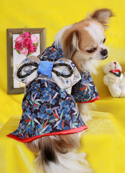 敗犬女王寵物手工衣精品館 商品介紹 藍色結彩節節高昇和服